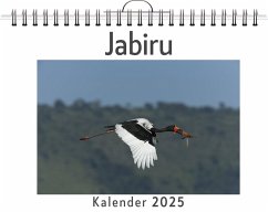 Jabiru - (Wandkalender 2025, Kalender DIN A4 quer, Monatskalender im Querformat mit Kalendarium, das perfekte Geschenk) - Günther, Charlotte