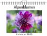 Alpenblumen - (Wandkalender 2025,... - Bild 1