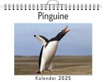 Pinguine - (Wandkalender 2025, Kalender DIN A4 quer, Monatskalender im Querformat mit Kalendarium, das perfekte Geschenk)