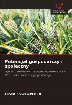 Potencja¿ gospodarczy i spo¿eczny - PEDRO, Ernest Comlan