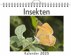 Insekten - (Wandkalender 2025, Kalender DIN A4 quer, Monatskalender im Querformat mit Kalendarium, das perfekte Geschenk) - Wolf, Laura Insekten - (Wandkalender 2025, Kalender DIN A4 quer, Monatskalender im Querformat mit Kalendarium, das perfekte Geschenk) - Wolf, Laura