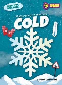 What's Going on When It's Cold - Leatherland, Noah