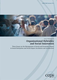 Organizational Hybridity and Social Innovation - Nietlispach, Lucca