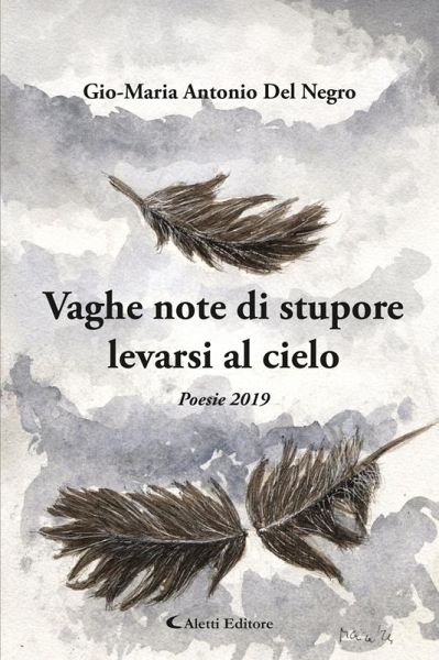 Vaghe note di stupore levarsi al cielo (eBook, ePUB) Vaghe note di stupore levarsi al cielo (eBook, ePUB)