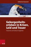 Geborgenheitserleben in Krisen, Leid und Trauer (eBook, PDF)