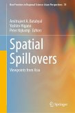 Spatial Spillovers (eBook, PDF)