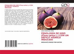 Cover FENOLOGÍA DE HIGO (Ficus carica L.) CON UN DÉFICIT HÍDRICO INDUCIDO