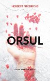 Orsul Orsul