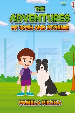 Cover The Adventures of Josh and Stormie