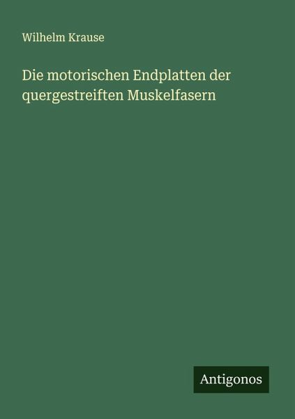 Die motorischen Endplatten der quergestreiften Muskelfasern Die motorischen Endplatten der quergestreiften Muskelfasern