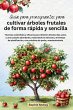 Guía para principiantes para cultivar... - Bild 1