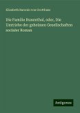 Die Familie Runenthal, oder, Die Umtriebe der geheimen Gesellschaften socialer Roman