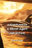 Adventures Of A Secret Agent (Adventure)