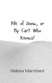 Pile of Snow, or My Car? Who Knows! Pile of Snow, or My Car? Who Knows!