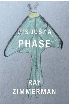Cover It's Just A Phase