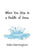 When You Step in a Puddle of Snow