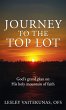 Journey to the Top Lot - Bild 1