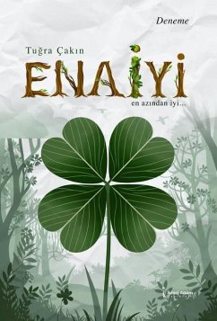 Enayi Cover Enayi