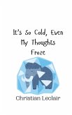 It's So Cold, Even My Thoughts Froze