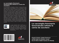 Cover La cocciniglia Pulvinaria tenuivalvata infesta la canna da zucchero