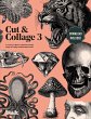 Cut & Collage 3 - Bild 1