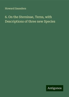6. On the Sterninae, Terns, with Descriptions of three new Species - Saunders, Howard
