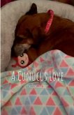 A Cunucus Love A Cunucus Love