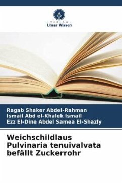 Cover Weichschildlaus Pulvinaria tenuivalvata befällt Zuckerrohr