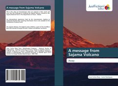 A message from Sajama Volcano - Rioja, Juan Carlos;Rodríguez, JAVIER