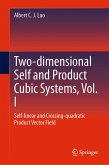 Two-dimensional Self and Product Cubic Systems, Vol. I (eBook, PDF)