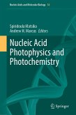 Nucleic Acid Photophysics and Photochemistry (eBook, PDF)