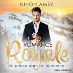 Un prince dans la tourmente - Romance royale T02 (MP3-Download)