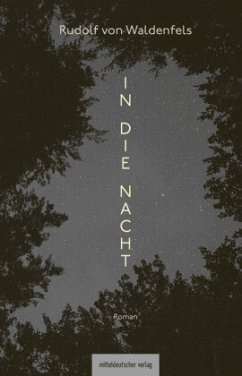 Cover In die Nacht