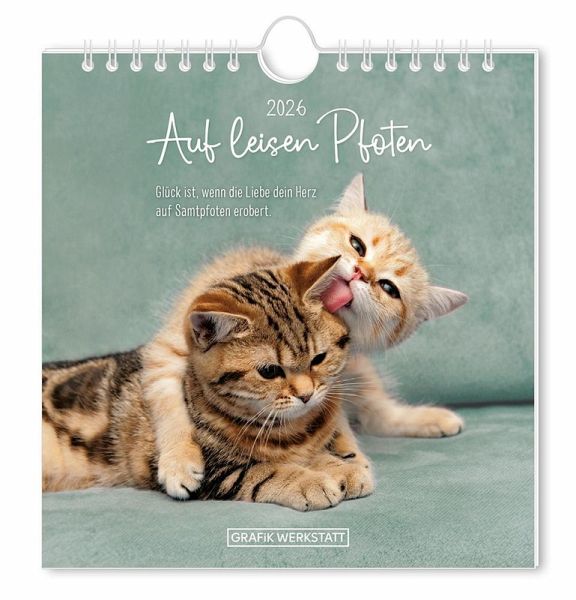 Postkartenkalender 2026 Auf leisen Pfoten Postkartenkalender 2026 Auf leisen Pfoten