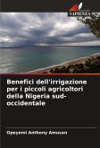 Benefici dell'irrigazione per i piccoli agricoltori della Nigeria sud-occidentale
