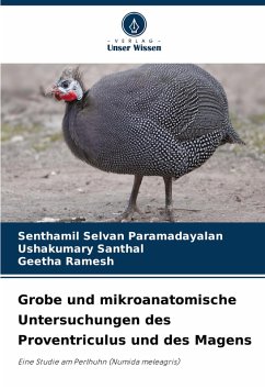 Grobe und mikroanatomische Untersuchungen des Proventriculus und des Magens - Paramadayalan, Senthamil Selvan;Santhal, Ushakumary;Ramesh, Geetha