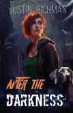 After The Darkness After The Darkness