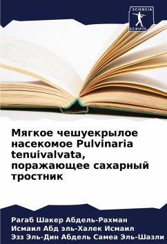 Cover Mqgkoe cheshuekryloe nasekomoe Pulvinaria tenuivalvata, porazhaüschee saharnyj trostnik