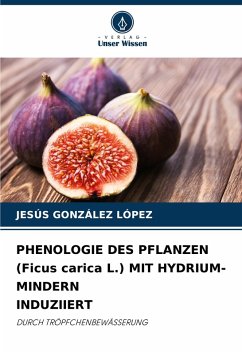 Cover PHENOLOGIE DES PFLANZEN (Ficus carica L.) MIT HYDRIUM-MINDERN INDUZIIERT