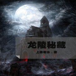 Cover 龙陵秘藏 (MP3-Download)