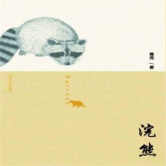 Cover 浣熊 (MP3-Download)