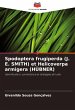 Spodoptera frugiperda (J. E. SMITH) et... - Bild 1