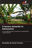 Il lavoro minorile in Amazzonia