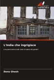 L'India che ingrigisce