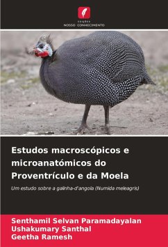 Estudos macroscópicos e microanatómicos do Proventrículo e da Moela - Paramadayalan, Senthamil Selvan;Santhal, Ushakumary;Ramesh, Geetha