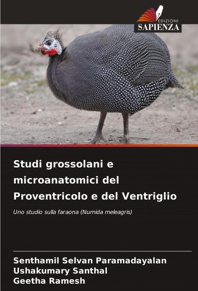 Studi grossolani e microanatomici del Proventricolo e del Ventriglio