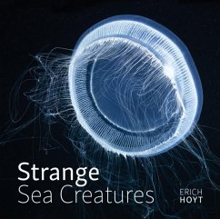 Cover Strange Sea Creatures