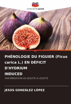 Cover PHÉNOLOGIE DU FIGUIER (Ficus carica L.) EN DÉFICIT D'HYDRIUM INDUCED