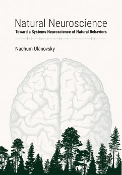 Cover Natural Neuroscience