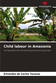 Child labour in Amazonia Child labour in Amazonia